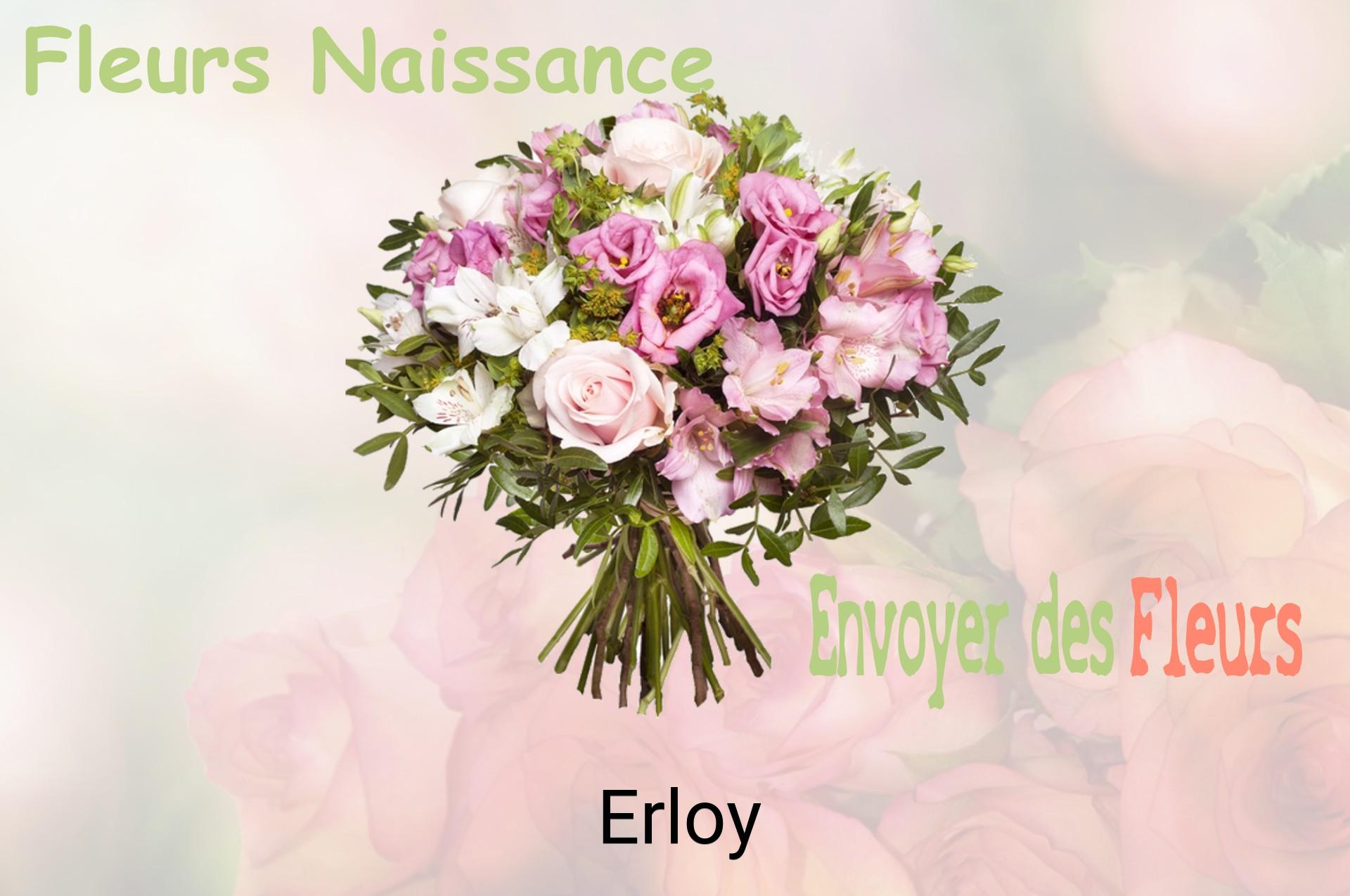 Bouquet de fleurs de naissance livré à Erloy
